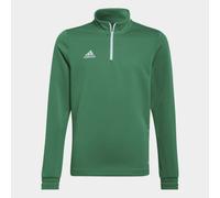 adidas Entrada 22 Training Top Juniors 7-8 Years Green/White