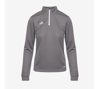 Adidas Entrada 22 Training Sweatshirt Grey XL / Regular Women