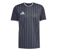 adidas Entrada 26 Graphic Jersey
