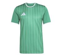 adidas Entrada 26 Graphic Jersey