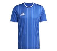 adidas Entrada 26 Graphic Jersey
