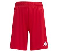 Adidas Entrada 26 Shorts
