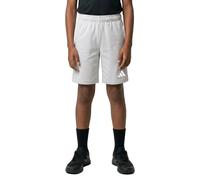 adidas Unisex Kids Entrada26 Sweat Shorts Kids, Team Light Grey/White, 15-16 Years