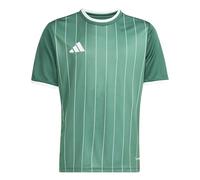 adidas Entrada26 Graphic Jersey Kids