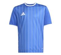 adidas Entrada26 Graphic Jersey Kids
