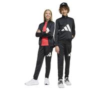 Adidas Essentials Big Logo Climacool Tracksuit