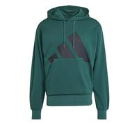 adidas Men's Essentials Big Logo French Terry Hoodie Sweatshirt, collegiate green/black, M