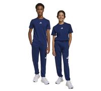 Adidas Essentials Big Logo Joggers