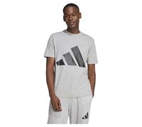 Adidas Essentials Big Logo Short Sleeve T-shirt