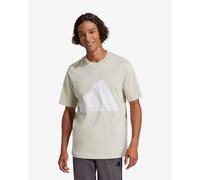 adidas Men's Essentials Big Logo Single Jersey TEE, Wonder Alumina/White, M