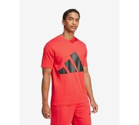 adidas Men's Essentials Big Logo Single Jersey TEE, Pure Ruby/Black, M