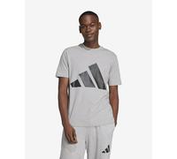 Adidas Essentials Big Logo Short Sleeve T-shirt Grey L / Regular Man