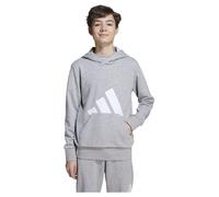 Adidas Essentials Hoodie Grey 13-14 Years Kids