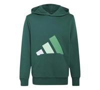 Adidas Essentials Hoodie Green 11-12 Years Kids