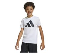 adidas Unisex Kids Essentials Big Logo T-Shirt, White/Black, 13-14 Years
