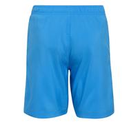 Adidas Essentials Swimming Shorts