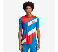 adidas FC Bayern Munich 22 23 Pre Match Shirt