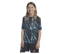 Adidas Fc Bayern Munich 24/25 Pre Match Junior Short Sleeve T-shirt Blue 7-8 Years Boys