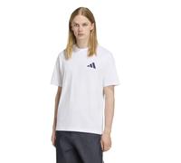 Adidas Fc Bayern Munich Seasonal Graphic Short Sleeve T-shirt White L Men