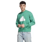 Adidas Fi Bos Crew Sweatshirt Green M / Regular Men