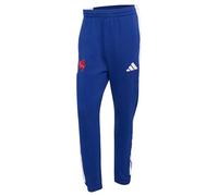 adidas Men's France Rugby Travel Pants, Mystery Ink, M