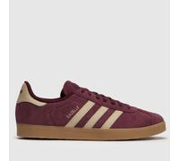 adidas Shoes (Trainers) GAZELLE in Purple 10
