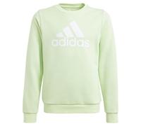 adidas Girl's Essentials Big Logo Cotton Sweatshirt, semi green spark/white, 9-10 Years