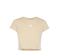 adidas Girl's Essentials Logo Shirt, Crystal Linen/White, 14-15 Years