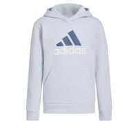 adidas Girls' Long Sleeve Graphic Fleece Hooded Pullover, Halo Blue, 6