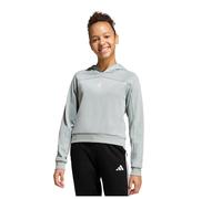 Adidas Holiday Glam Cropped Hoodie