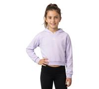 Adidas Holiday Glam Cropped Hoodie