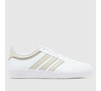 adidas hoops 4.0 trainers in white & beige UK 10 (EU 44?)