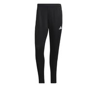 adidas Tiro23 L Pant Sn51