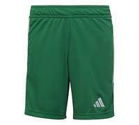adidas Junior Tiro 23 League Shorts