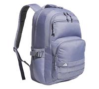 adidas Interval School Backpack 32L, Silver Violet Purple/Grey Four | Padded 16-In. Laptop Sleeve, Multiple Organizer Pockets, Water-Bottle Pockets, Durable Build, School Gym & Travel Ready