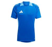 adidas Jersey (Short Sleeve) Tiro 24 Competition Training Jersey, Royal Blue, IS1659, L