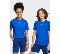 adidas Unisex Kids Train Essentials Logo Regular Fit T-Shirt Junior, Royal Blue/White, 13-14 Years