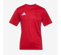 Adidas Campeon 25 Short Sleeve T-shirt Red 7-8 Years Boys,Girls