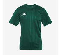 Adidas Campeon 25 Short Sleeve T-shirt Green 13-14 Years Boys,Girls