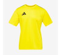 Adidas Campeon 25 Short Sleeve T-shirt Yellow 13-14 Years Boys,Girls