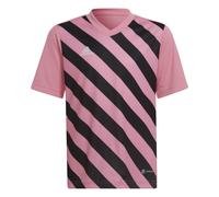 Adidas Junior Entrada 22 Graphic Jersey Colour: Pink, Size: 7-8 years