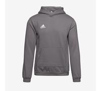 adidas Unisex Kids Entrada 22 Sweat Hoodie, Team Grey Four, 13-14 Years