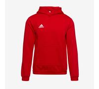 adidas Junior Entrada 22 Pullover Hoodie