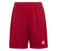 Adidas Junior Entrada 22 Short Colour: Grey, Size: Extra Large