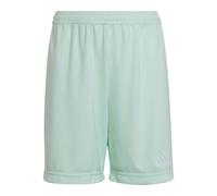 Adidas Junior Entrada 22 Short Colour: Mint, Size: 5-6 years