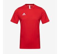 adidas Junior Entrada 22 SS Tee