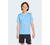 adidas Unisex Kids Entrada26 Jersey Kids, Team Light Blue/White, 5-6 Years