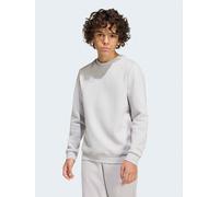 adidas Junior Football Entrada 26 Sweat Top, Tmlggr/White, Size 3-4 Years Tmlggr/White
