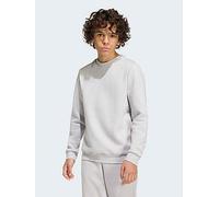 adidas Unisex Kids Entrada26 Sweat Top Kids, team light grey/white, 5-6 Years