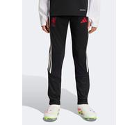 adidas Junior Liverpool Fc 26/27 Training Pants, Black, Size 3-4 Years Black